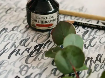 Calligraphy on paper beside a sprig of leaves