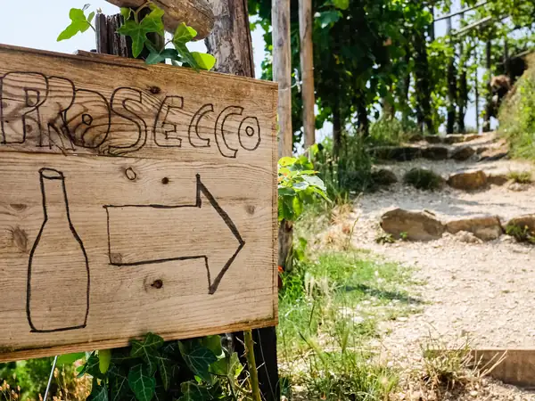 A wooden Prosecco sign pointing up a stone path through the vines