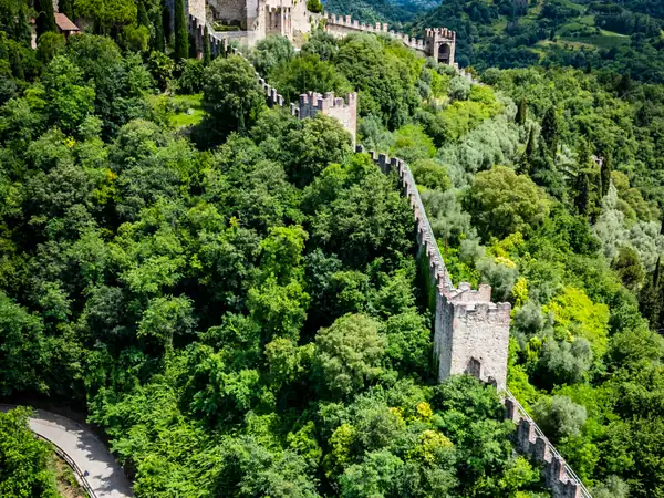 A castle and its walls climbing through dense forest, seen from above