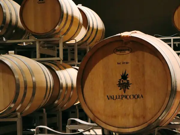 Rows of oak barrels in a Valpolicella cellar