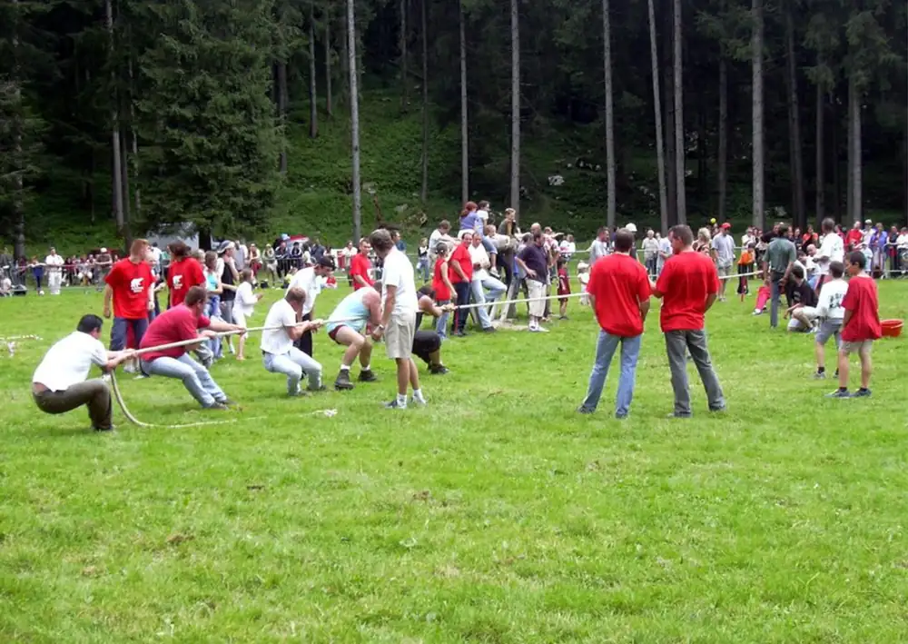 Teams in a tug of war on a meadow at the edge of a forest