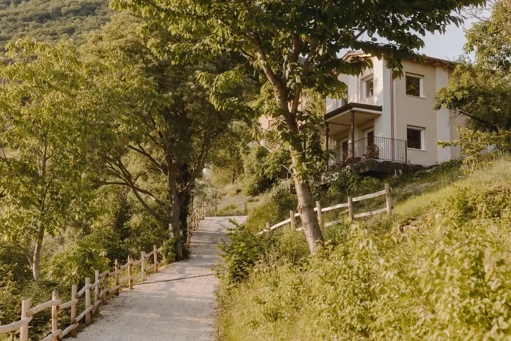 A gravel path under the trees beside a house on the edge of a village