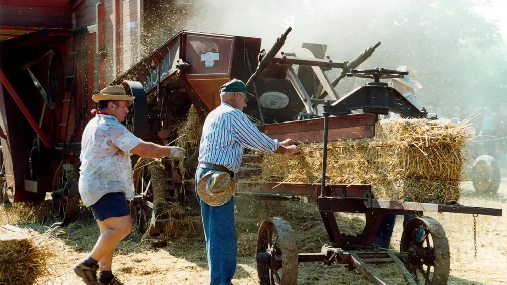 Two men working an antique threshing machine stacked with straw