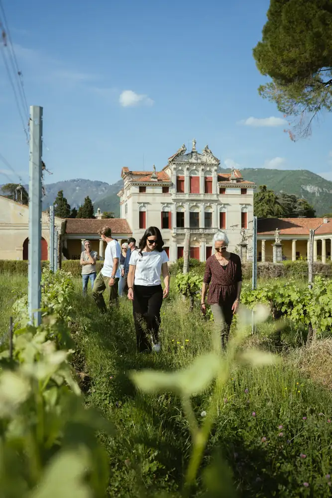 Guests walking through a vegetable garden towards a Palladian villa